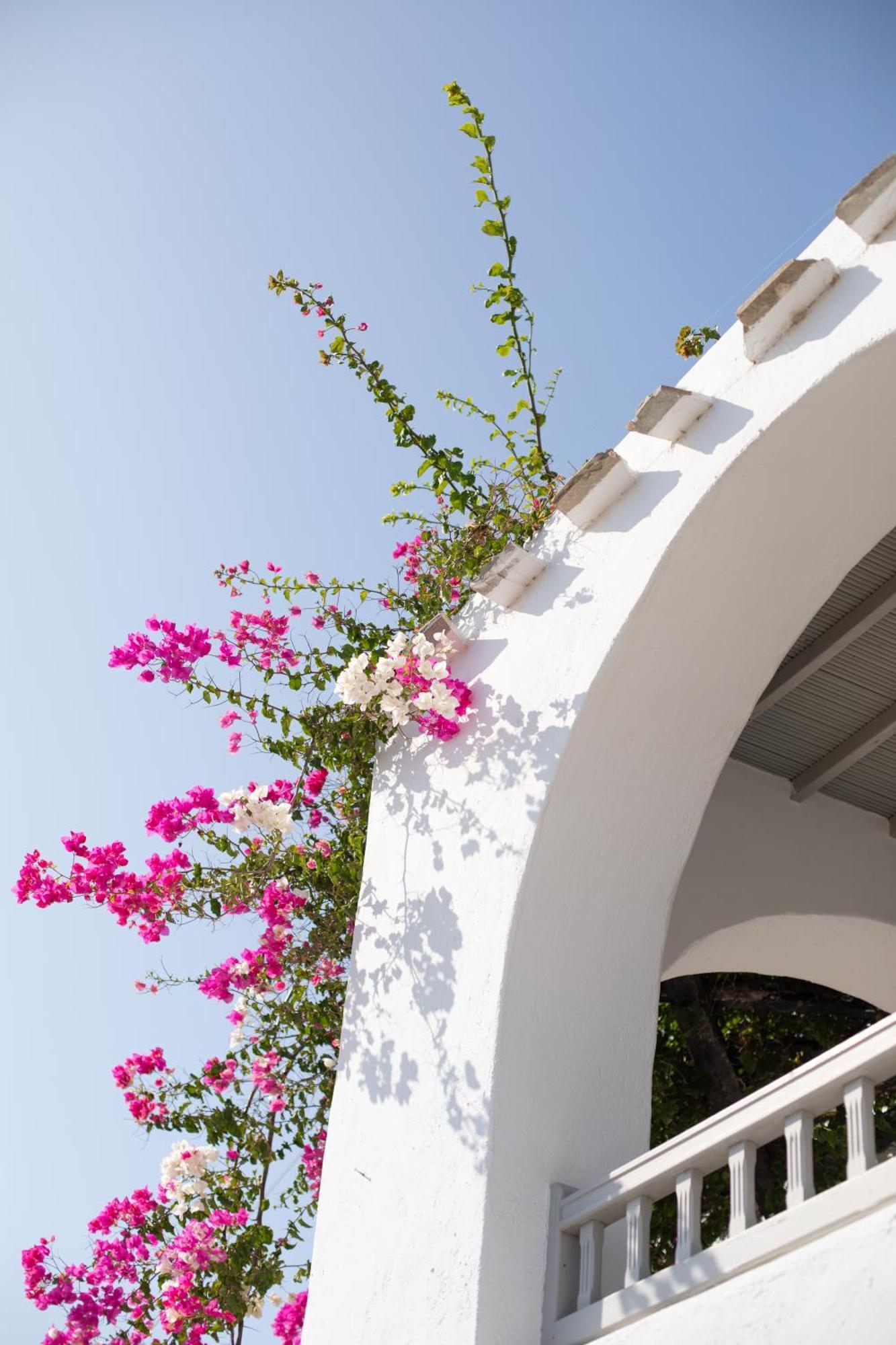Apostolis Windmill Apartment Psarou  Bagian luar foto