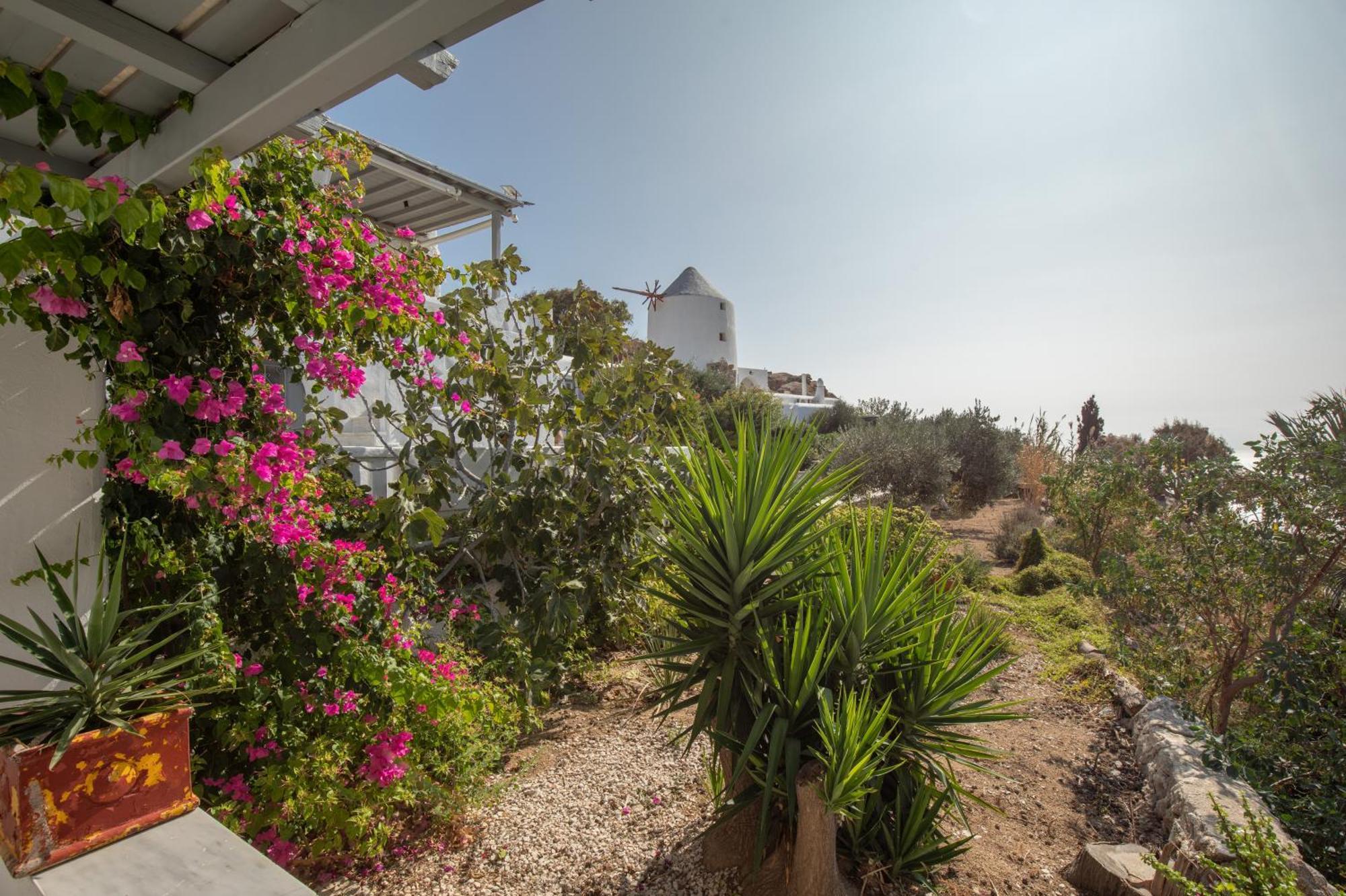 Apostolis Windmill Apartment Psarou  Bagian luar foto